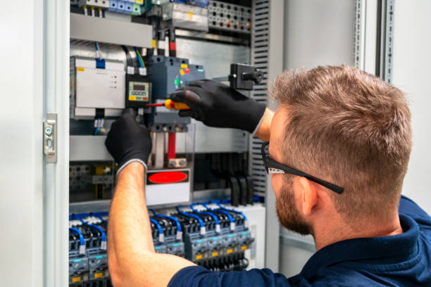Best Local Electrician Companies  in Flora, IN